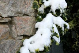 2010-11-28 (42)
