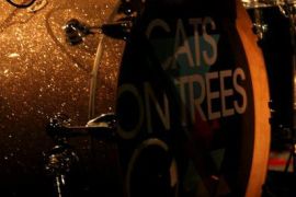 2014-03-08 Cats on trees 209