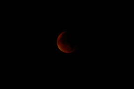2015-09-28-eclipse-de-lune-015-1087