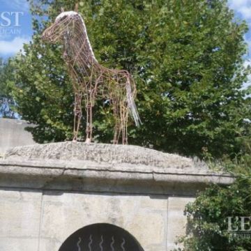 Revue de presse : Le petit cheval blanc