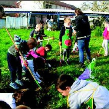 Revue de presse : Bulbes au jardin pédagogique