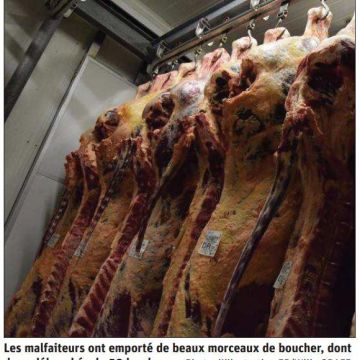 Revue de presse : Casse à l'abattoir de La Motte : 250 kg de viande dérobés