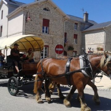 Revue de presse :Les cow-boys en calèche