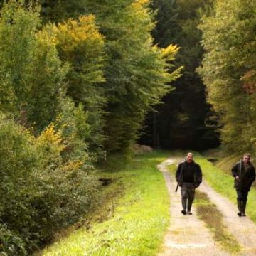 Le Maire vous informe