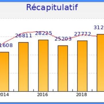 La barre des 30 000 visites franchie