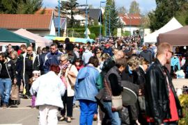 2016-04-24 Pusey Vide grenier 366