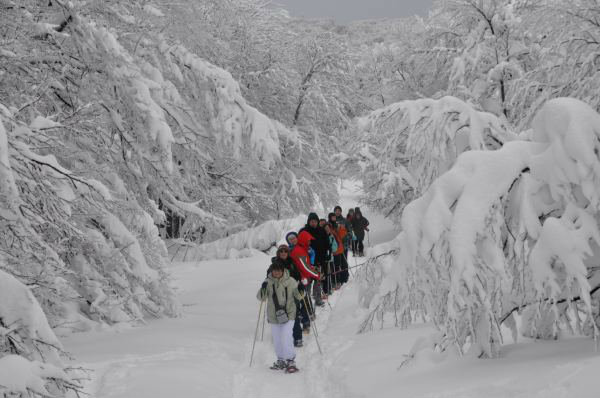 2013-02-08 ADP raquettes dans les vosges (3)