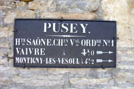 Pusey fleuri 30-06-2008 (21)