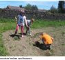 Revue de presse : Bonnes ou mauvaises herbes ?