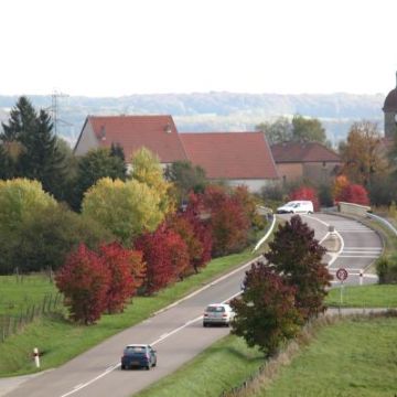 Sécurité routière (suite)