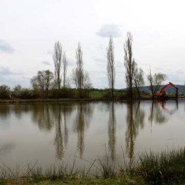 Travaux à l'étang