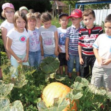 Revue de presse : Récolte au jardin de l'école
