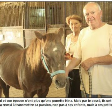 Revue de presse : La sentinelle de l'hippodrome