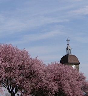 Le printemps salué par Bernard Pinot