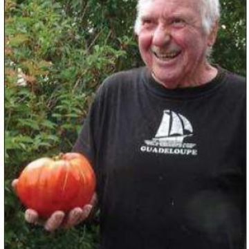 Revue de presse : Une tomate gros format