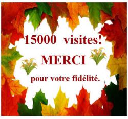 Déjà 15 000 visites en 2014 !