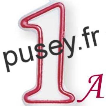 Pusey.fr fête son 1er anniversaire