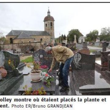 Revue de presse : Vol de fleurs et excrément sur la tombe de son épouse