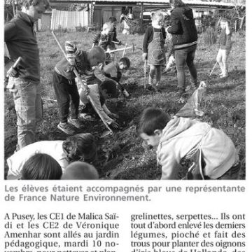 LPV 17/12/15 : Les enfants ont planté des bulbes