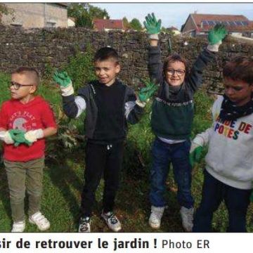 Revue de presse : Les écoliers au jardin pédagogique