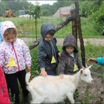 Revue de presse : Découvertes à la ferme du Château-Gaillard