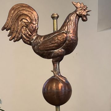 Le coq du village