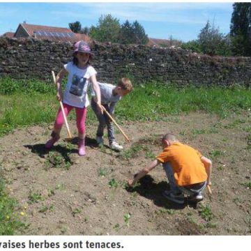 Revue de presse : Bonnes ou mauvaises herbes ?